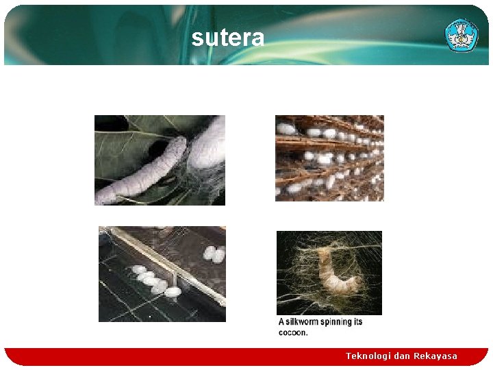 sutera Teknologi dan Rekayasa 