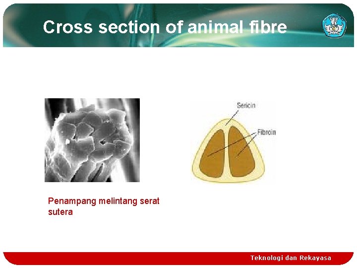 Cross section of animal fibre Penampang melintang serat sutera Teknologi dan Rekayasa 