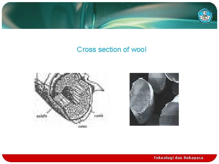 Cross section of wool Teknologi dan Rekayasa 