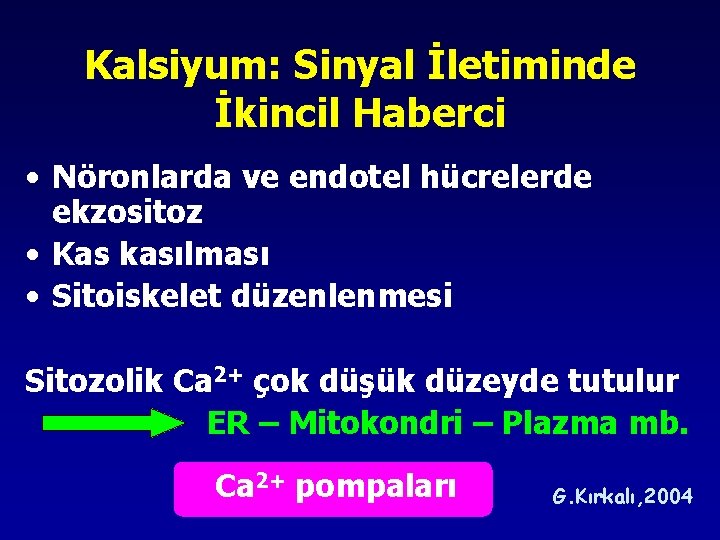 Kalsiyum: Sinyal İletiminde İkincil Haberci • Nöronlarda ve endotel hücrelerde ekzositoz • Kas kasılması Kalsiyum: Sinyal İletiminde İkincil Haberci • Nöronlarda ve endotel hücrelerde ekzositoz • Kas kasılması
