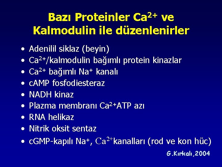Bazı Proteinler Ca 2+ ve Kalmodulin ile düzenlenirler • • • Adenilil siklaz (beyin) Bazı Proteinler Ca 2+ ve Kalmodulin ile düzenlenirler • • • Adenilil siklaz (beyin)