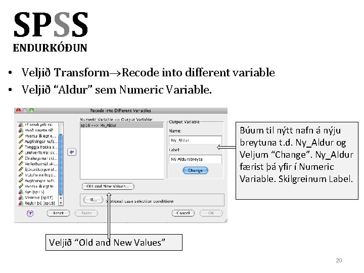 SPSS ENDURKÓÐUN • Veljið Transform Recode into different variable • Veljið “Aldur” sem Numeric