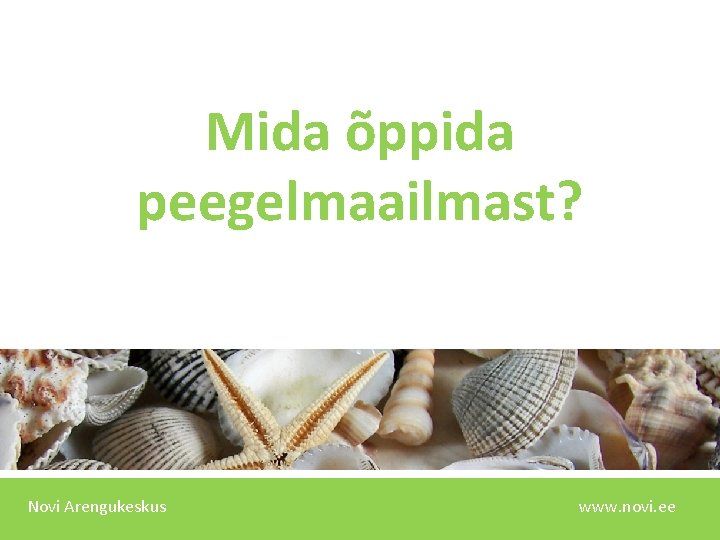 Mida õppida peegelmaailmast? Novi Arengukeskus www. novi. ee 