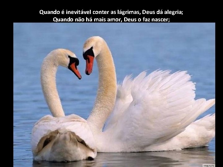 Quando é inevitável conter as lágrimas, Deus dá alegria; Quando não há mais amor,