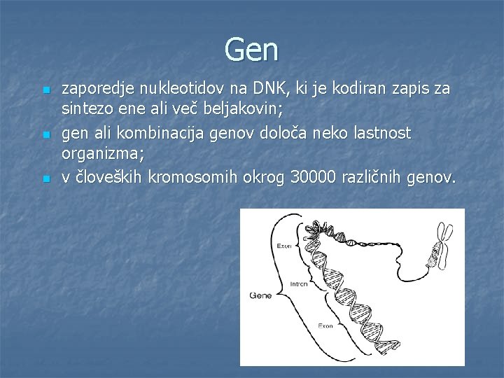 Gen n zaporedje nukleotidov na DNK, ki je kodiran zapis za sintezo ene ali