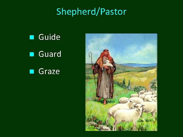 Shepherd/Pastor n Guide n Guard n Graze 