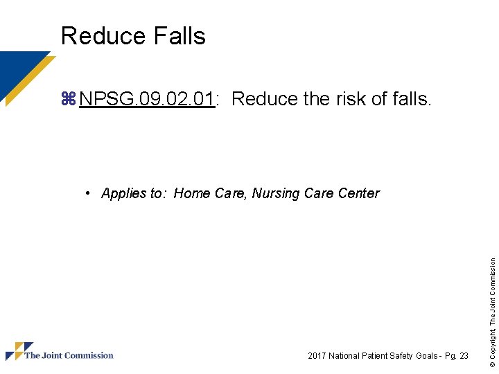 Reduce Falls z NPSG. 09. 02. 01: Reduce the risk of falls. 2017 National