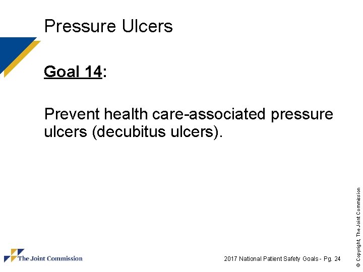 Pressure Ulcers Goal 14: 2017 National Patient Safety Goals - Pg. 24 © Copyright,