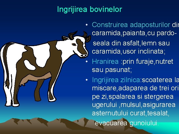 Ingrijirea bovinelor • Construirea adaposturilor din caramida, paianta, cu pardoseala din asfalt, lemn sau