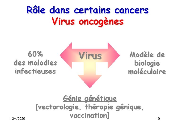 Rôle dans certains cancers Virus oncogènes 60% des maladies infectieuses 12/4/2020 Virus Modèle de