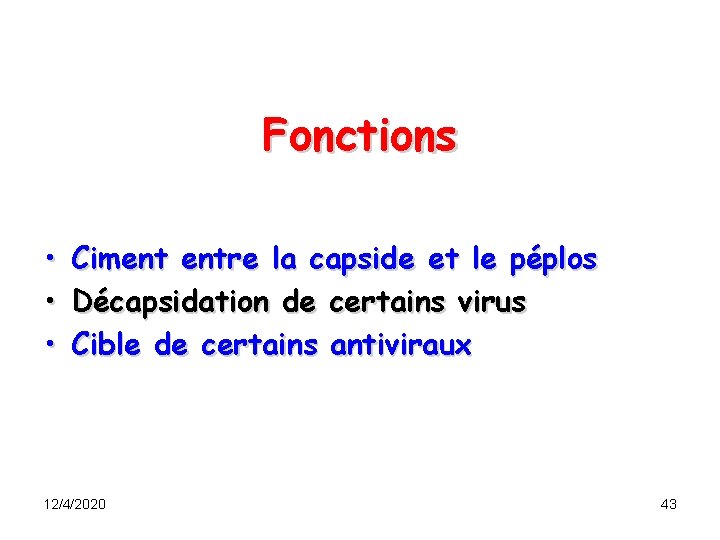 Fonctions • • • Ciment entre la capside et le péplos Décapsidation de certains