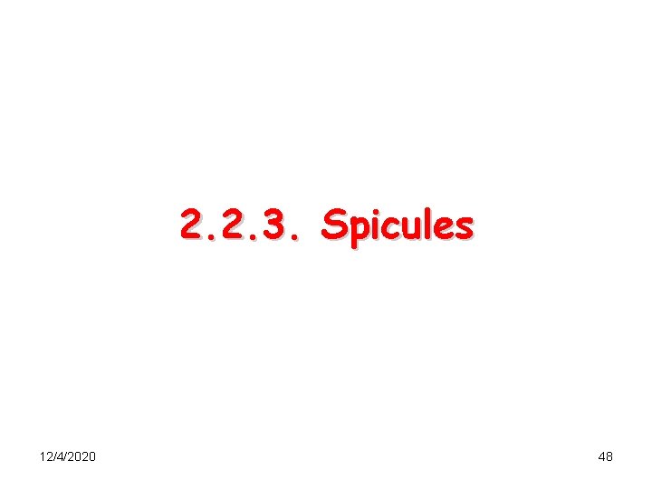 2. 2. 3. Spicules 12/4/2020 48 