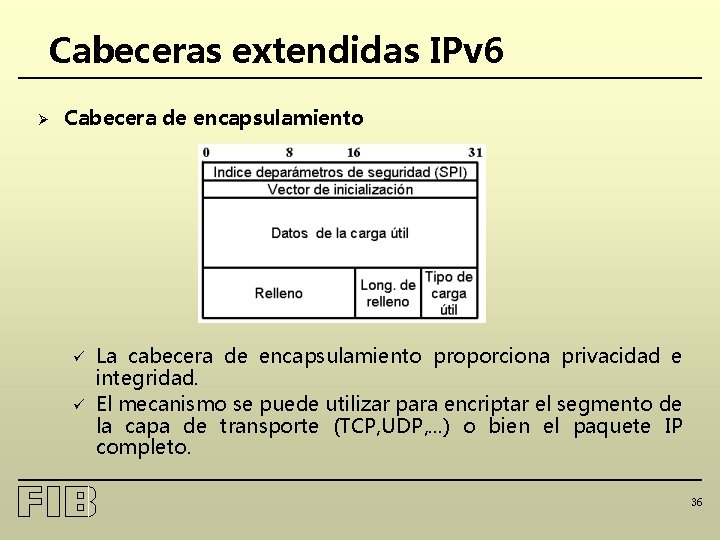 Cabeceras extendidas IPv 6 Ø Cabecera de encapsulamiento ü ü La cabecera de encapsulamiento