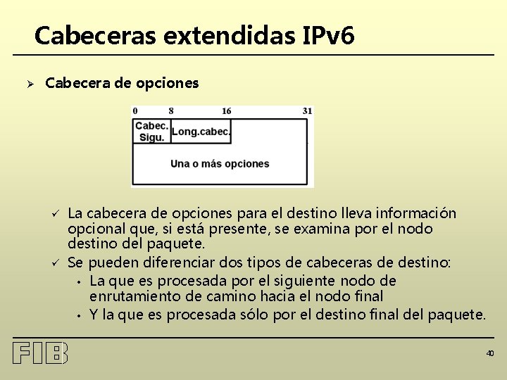 Cabeceras extendidas IPv 6 Ø Cabecera de opciones ü ü La cabecera de opciones