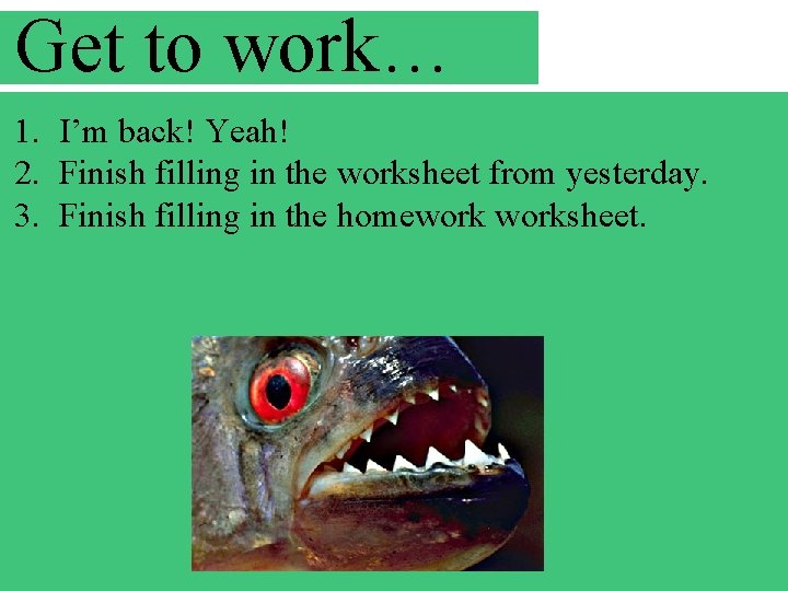 Get to work… 1. I’m back! Yeah! 2. Finish filling in the worksheet from