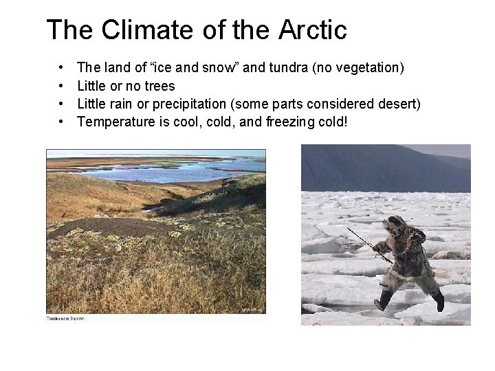 The Climate of the Arctic • • The land of “ice and snow” and