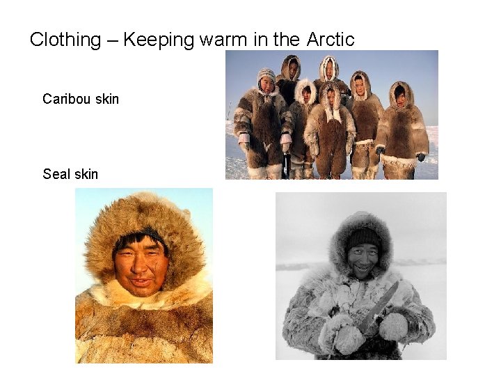 Clothing – Keeping warm in the Arctic Caribou skin Seal skin 