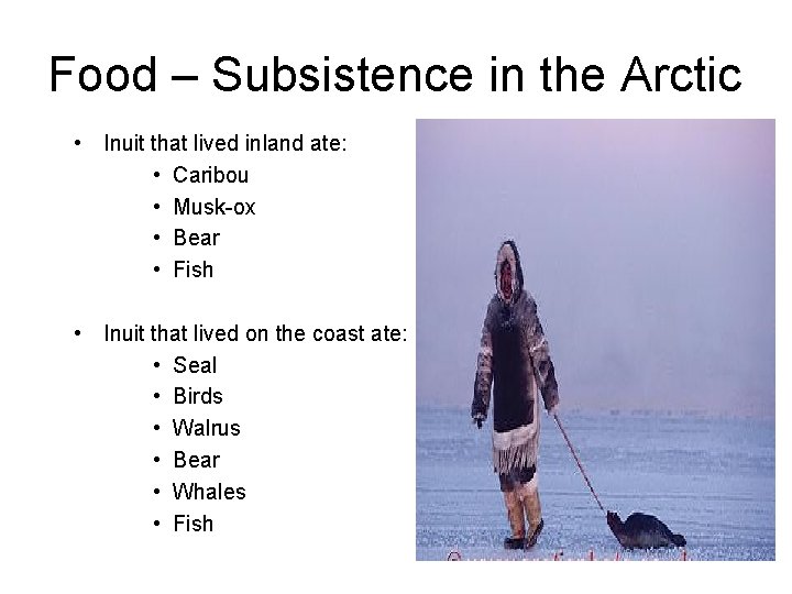 Food – Subsistence in the Arctic • Inuit that lived inland ate: • Caribou