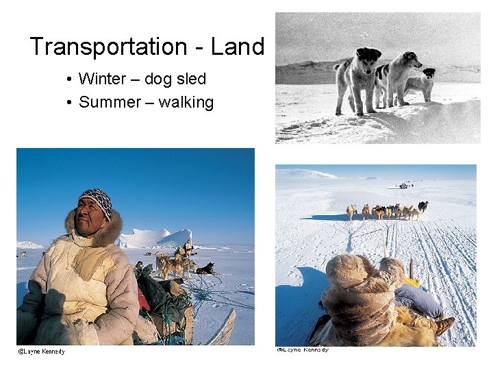 Transportation - Land • Winter – dog sled • Summer – walking 