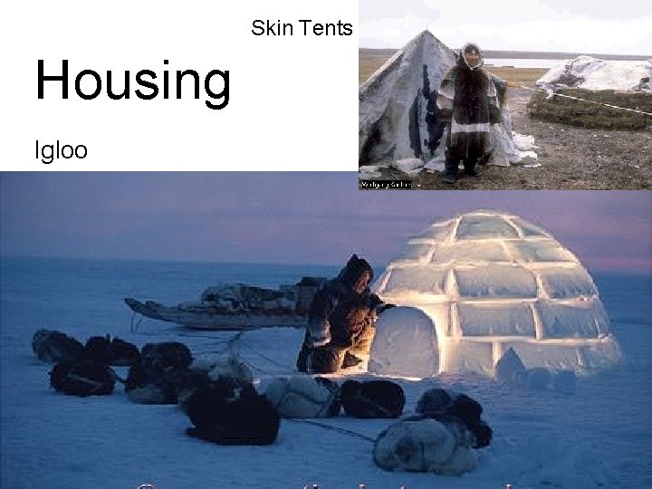 Skin Tents Housing Igloo 