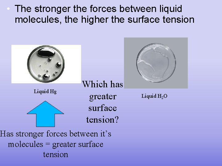  • The stronger the forces between liquid molecules, the higher the surface tension