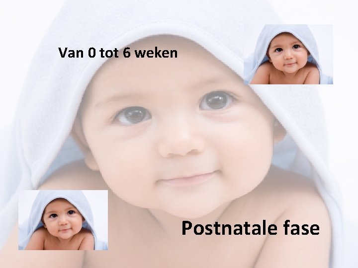 Van 0 tot 6 weken Postnatale fase 