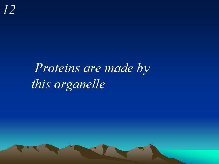 12 Proteins are made by this organelle 