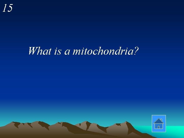 15 What is a mitochondria? 