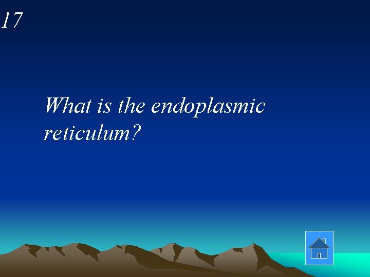 17 What is the endoplasmic reticulum? 