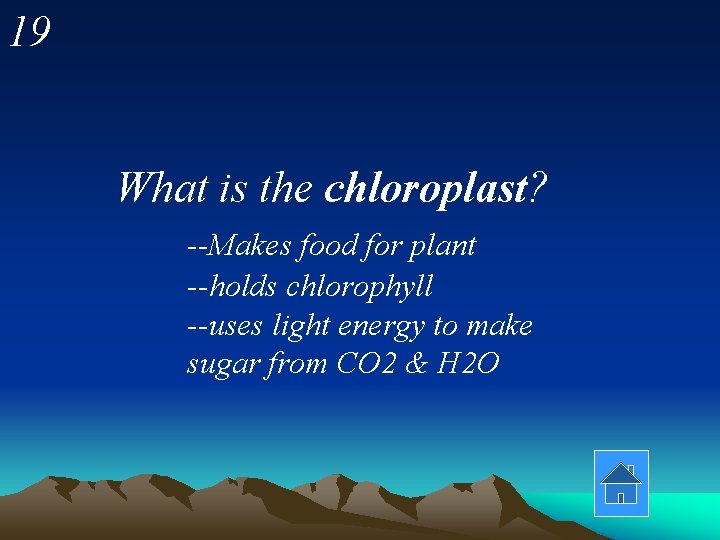 19 What is the chloroplast? --Makes food for plant --holds chlorophyll --uses light energy