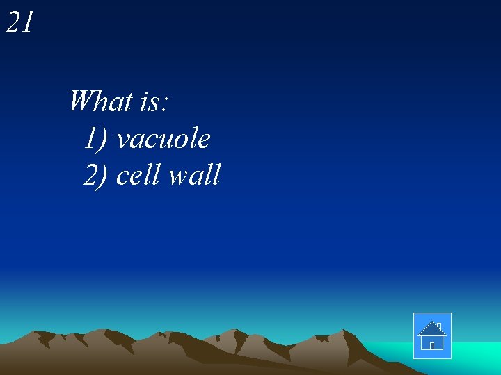 21 What is: 1) vacuole 2) cell wall 