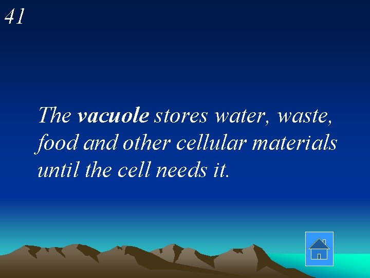 41 The vacuole stores water, waste, food and other cellular materials until the cell