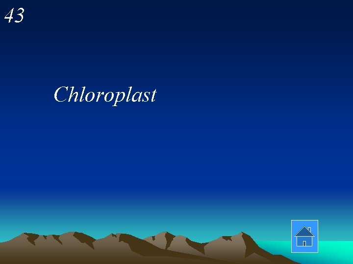 43 Chloroplast 