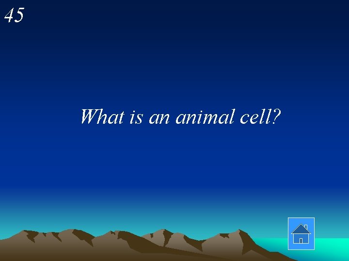 45 What is an animal cell? 