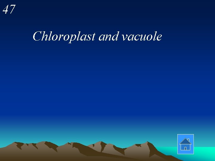 47 Chloroplast and vacuole 