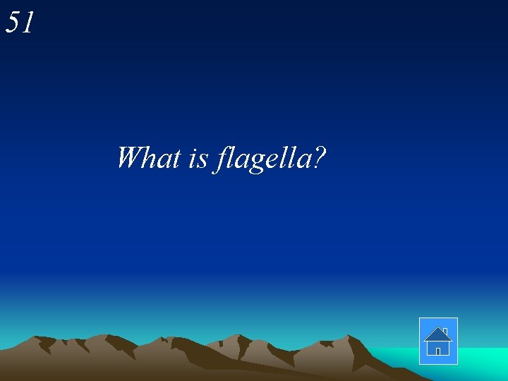 51 What is flagella? 