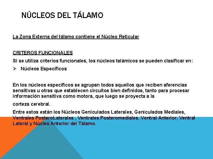 NÚCLEOS DEL TÁLAMO La Zona Externa del tálamo contiene el Núcleo Reticular CRITEROS FUNCIONALES
