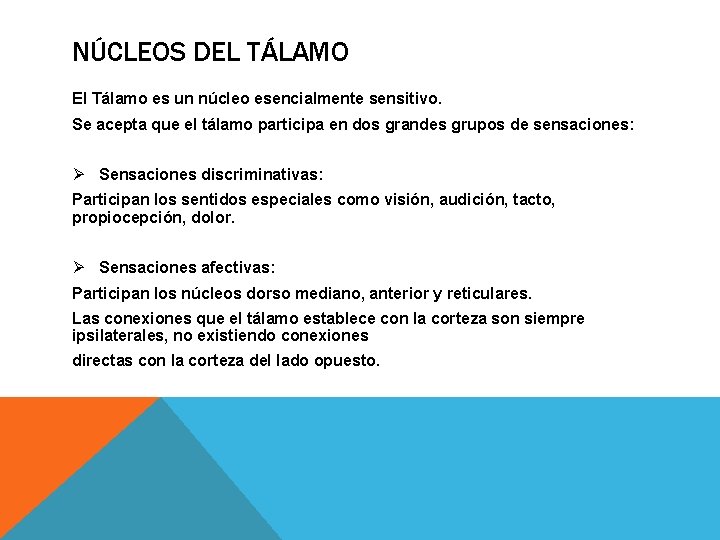 NÚCLEOS DEL TÁLAMO El Tálamo es un núcleo esencialmente sensitivo. Se acepta que el