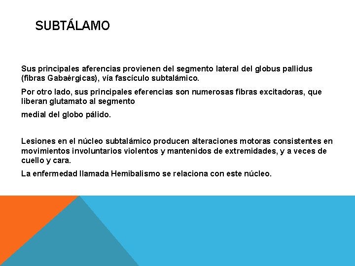 SUBTÁLAMO Sus principales aferencias provienen del segmento lateral del globus pallidus (fibras Gabaérgicas), vía