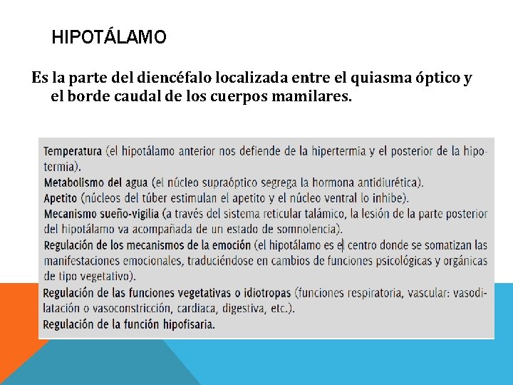 HIPOTÁLAMO Es la parte del diencéfalo localizada entre el quiasma óptico y el borde