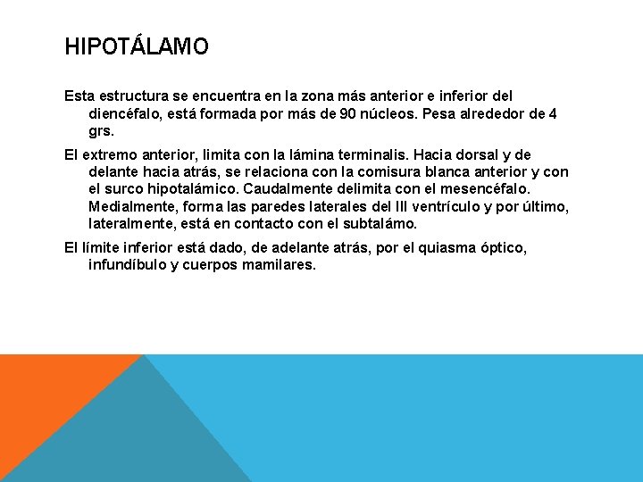 HIPOTÁLAMO Esta estructura se encuentra en la zona más anterior e inferior del diencéfalo,