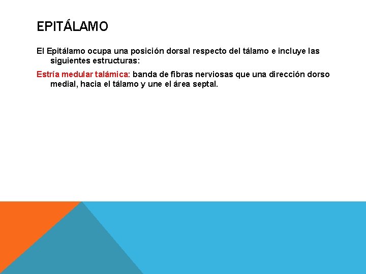 EPITÁLAMO El Epitálamo ocupa una posición dorsal respecto del tálamo e incluye las siguientes