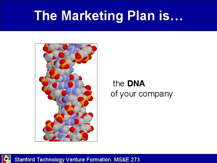 The Marketing Plan is… the DNA of your company Stanford Technology Venture Formation, MS&E
