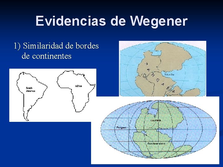 Evidencias de Wegener 1) Similaridad de bordes de continentes 