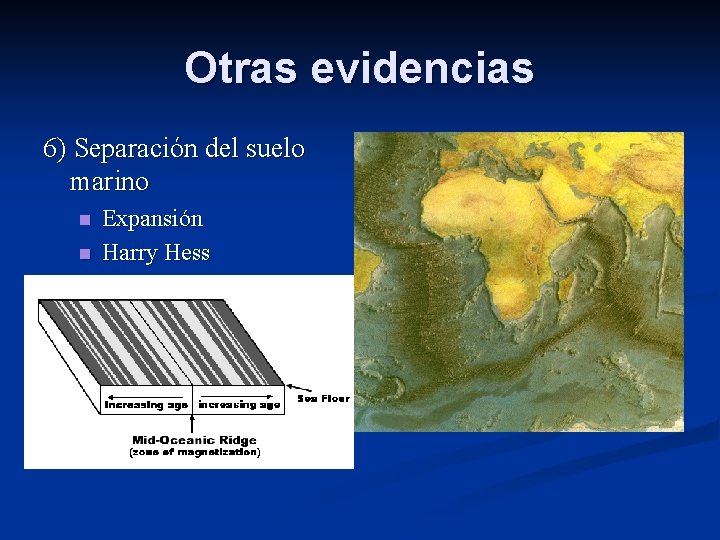 Otras evidencias 6) Separación del suelo marino n n Expansión Harry Hess 