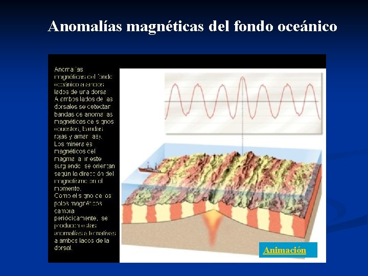 Anomalías magnéticas del fondo oceánico Animación 
