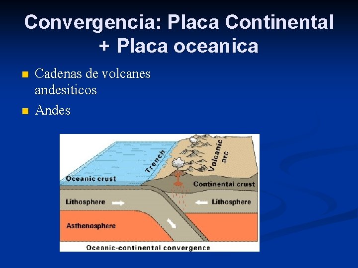 Convergencia: Placa Continental + Placa oceanica n n Cadenas de volcanes andesiticos Andes 