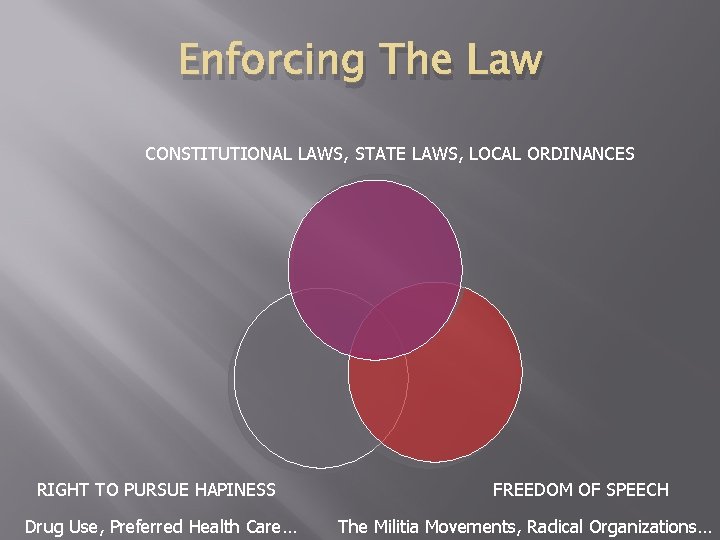 Enforcing The Law CONSTITUTIONAL LAWS, STATE LAWS, LOCAL ORDINANCES RIGHT TO PURSUE HAPINESS Drug