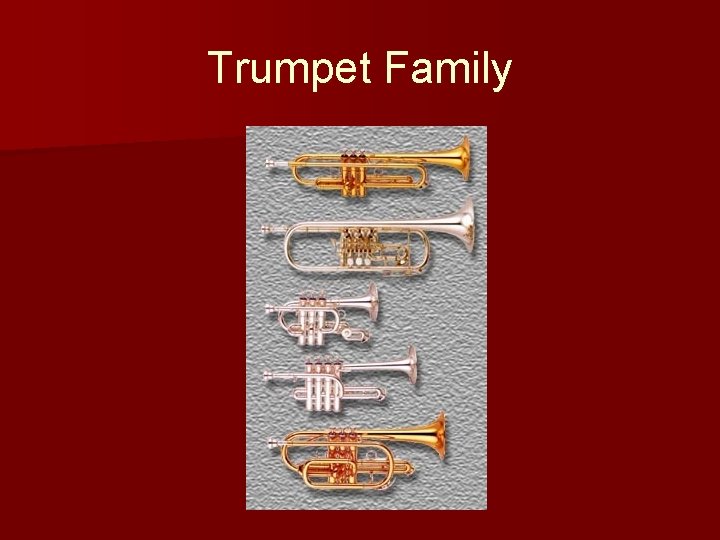 Trumpet Family 