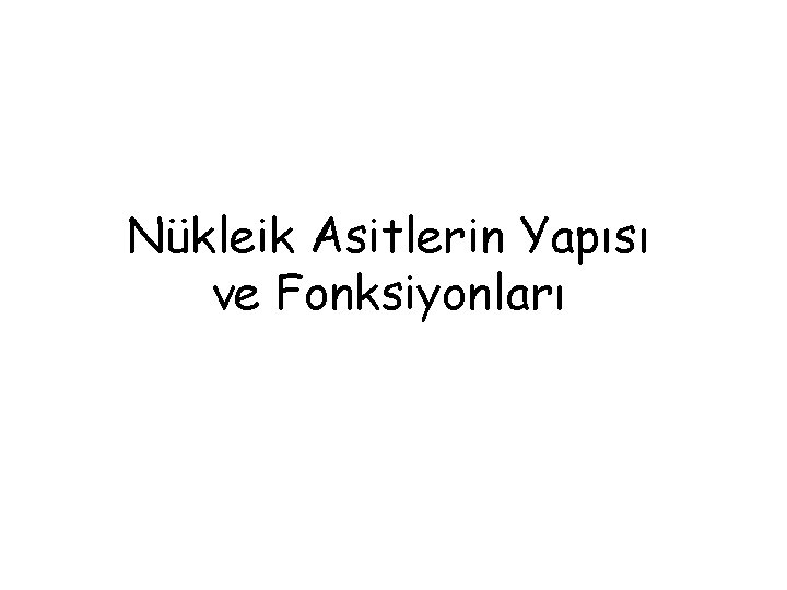 Nükleik Asitlerin Yapısı ve Fonksiyonları 